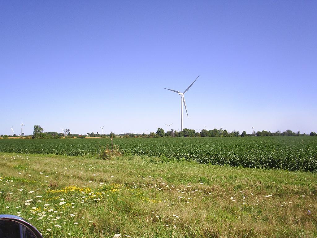 S4019051