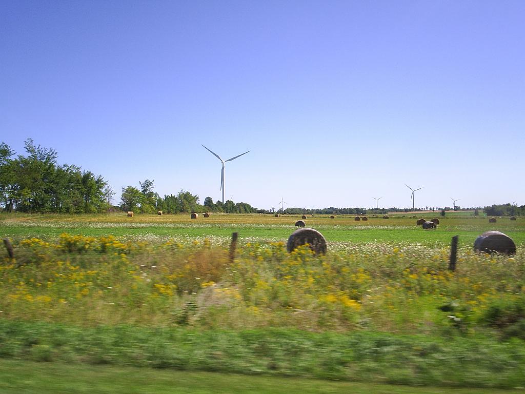 S4019053