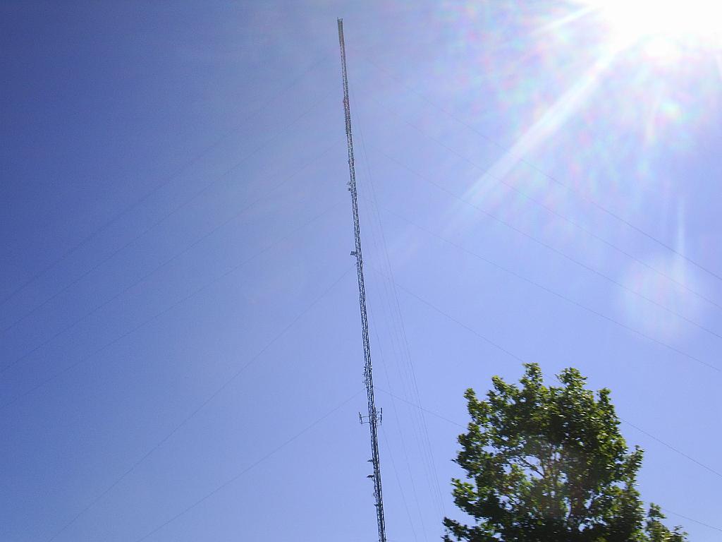 S4019056