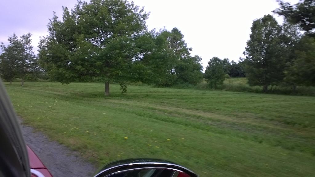 WP_20150814_011