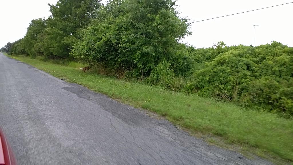WP_20150814_012
